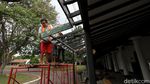 Pura Mangkunegaran Solo Direnovasi