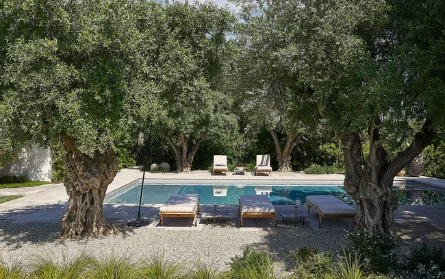 Tidak ketinggalan kolam renang yang dikelilingi pohon yang rindang. (Foto: Architectural Digest/William Abranowicz)