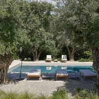 Tidak ketinggalan kolam renang yang dikelilingi pohon yang rindang. (Foto: Architectural Digest/William Abranowicz)