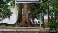 Candi ini ditemukan kembali pada tanggal 9 Desember tahun 1966