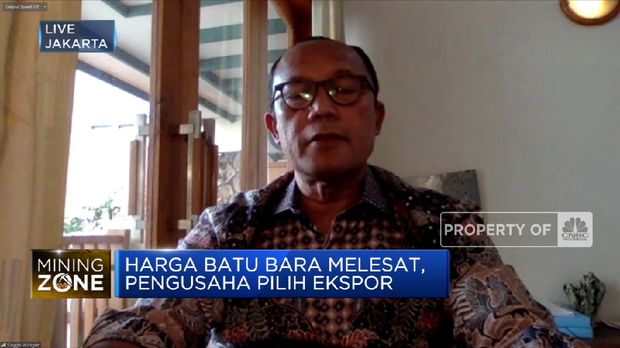 Cegah Kondisi Kritis Pasokan Batu Bara ke PLTU, Ini Saran IMEF  (CNBC Indonesia TV)