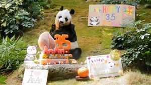 Panda An An Rayakan Ulang Tahun ke-35 di Ocean Park