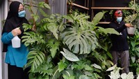 Keduanya membuat usaha tanaman dengan nama Qorina Garden di Kreo, Larangan, Kota Tangerang. Keduanya mencari sumber tanaman hias bermitra dengan petani di Ciapus Bogor.