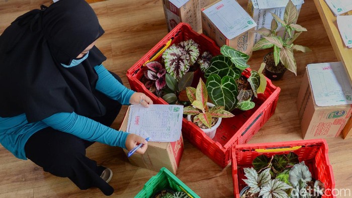 Pandemi berkepanjangan membuat kehidupan berubah 180 derajat. Yang biasanya mapan tiba-tiba terjebak PHK. Yang biasanya banyak order dan pekerjaan tiba-tiba harus end.  Sebagian  frustasi hingga mencari sensasi, berbikini yang berujung digelandang polisi.  Namun masih banyak yang waras dan menerima kenyataan bahwa panggung kehidupan harus tetap berjalan. Merekalah orang-orang yang pantang menyerah meski zaman serba susah.
