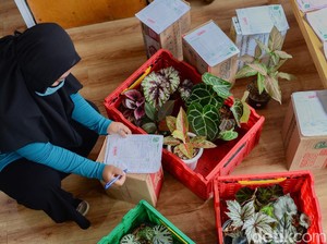 Layanan Logistik Ikut Bantu Genjot UMKM, Caranya?