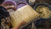 Tanaman papirus, dengan dedaunannya yang berbentuk kipas, tumbuh di air dan tingginya bisa mencapai empat meter. Bentuknya telah menjadi inspirasi untuk mendekorasi tiang-tiang kuil Mesir kuno. (AFP/KHALED DESOUKI)