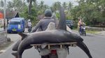 Buat Dijual, Ikan Hiu Ini Dibonceng Sepeda Motor