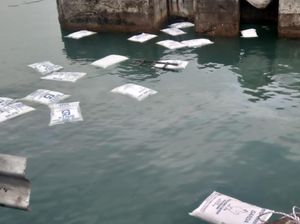 Truk Muatan Pakan Ternak Tercebur ke Laut Pelabuhan Merak