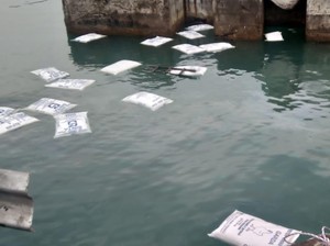 Truk Muatan Pakan Ternak Tercebur ke Laut Pelabuhan Merak