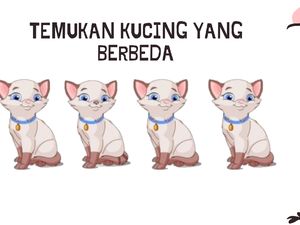 Tebak-tebakan Penghilang Penat Akhir Pekan, Seberapa Jenius Kamu?