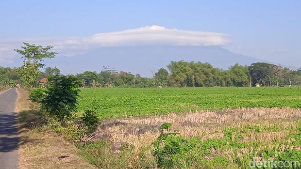 awan bertopi