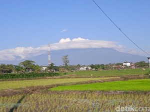 Awan Bertopi Kembali Muncul di Puncak Gunung Lawu, Kali Ini Putih Bersih
