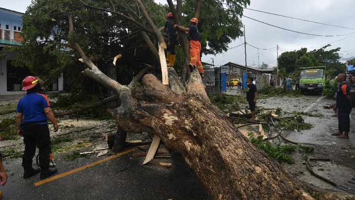 DAMPAK CUACA BURUK DI PALU Petugas Pemadam Kebakaran dan Penyelamatan Kota Palu memindahkan pohon tumbang yang menutupi badan jalan dan menimpa pagar sebuah toko serta kabel listrik di Palu, Sulawesi Tengah, Sabtu (14/8/2021). Hujan dan angin kencang yang melanda wilayah Kota Palu mengakibatkan sejumlah pohon tumbang dan mengakibatkan seorang warga terluka dan pihak keamanan setempat mengimbau warga untuk tetap waspada. ANTARA FOTO/Mohamad Hamzah/hp.