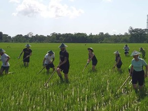 Desa Wisata di Bantul Ini Jadi Rekomendasi buat Lepas Penat Usai PPKM