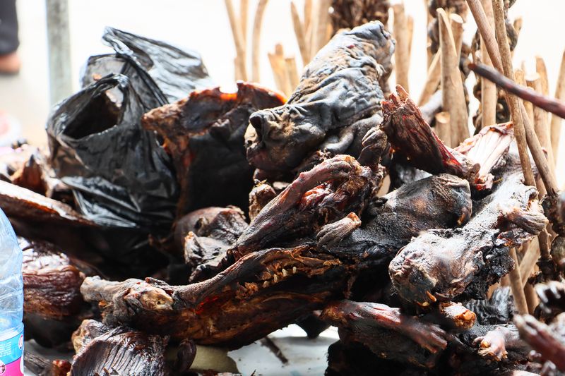Disebut Bisa Sembuhkan Asma, Daging Kelelawar Juga Bisa Bahayakan Kesehatan Disebut Bisa Sembuhkan Asma, Daging Kelelawar Juga Bisa Bahayakan Kesehatan