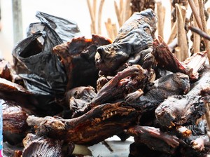 Berani Coba? 5 Makanan Ekstrem Ini Cuma Ada di Indonesia
