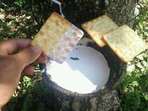Makan Biskuit Celup Getah Karet, Netizen: Nempel Semua Organ!