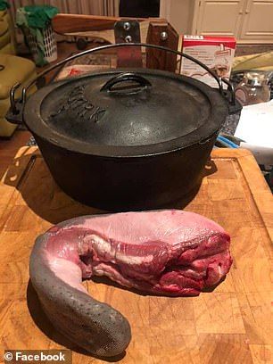 Masak Gulai Lidah Sapi, Bule Ini Tuai Pro Kontra Netizen Australia