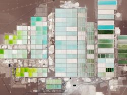 Foto Bumi Seperti Lukisan yang Dipotret dari Satelit