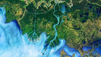 Proyek Landsat merupakan proyek kerjasama antara NASA dan U.S. Geological Survey. Proyek itu adalah salah satu proyek terpanjang yang merekam keberadaan Bumi dari luar angkasa. Foto pertama adalah Delta Atchafalaya di Louisiana yang diambil oleh Landsat 8 pada 1 Desember 2016. Gambar ini merupakan gambar false-color. Artinya, warna pada gambar sudah diubah untuk menunjukkan perbedaan antara daratan dan perairan agar kita bisa mengobservasi sedimen yang terbawa air. Foto: NASA