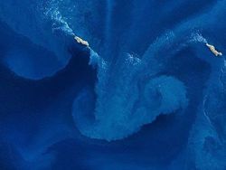 Foto Bumi Seperti Lukisan yang Dipotret dari Satelit