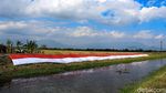 Wow, Bendera Merah Putih Sepajang 76 Meter Berkibar di Rancaekek