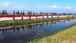 Wow, Bendera Merah Putih Sepajang 76 Meter Berkibar di Rancaekek