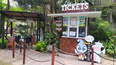 Foto: Cimory Puncak Tutup tapi Ramai Wisatawan