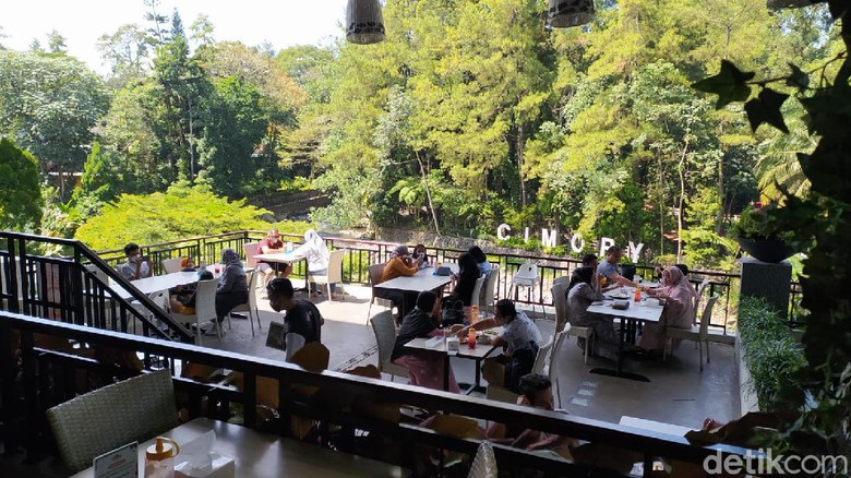 Cimory Puncak Cimory Puncak