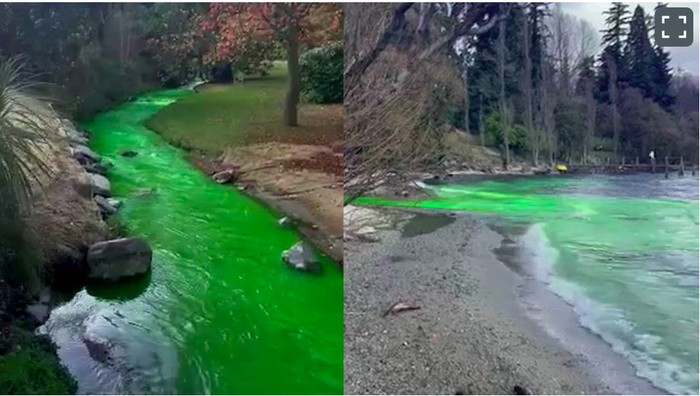 Danau Wakatipu berubah jadi hijau neon
