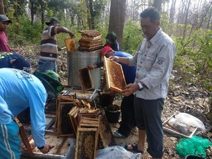 Pengusaha Travel Banting Setir Bisnis Madu Saat Pandemi, Hasilnya Menggiurkan