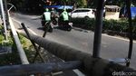 Anjlok! Penjualan Pohon Pinang Turun 90 Persen
