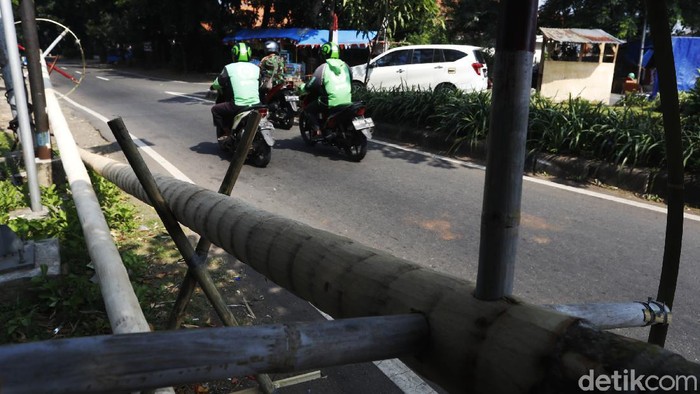 Anjlok Penjualan Pohon  Pinang  Turun 90 Persen