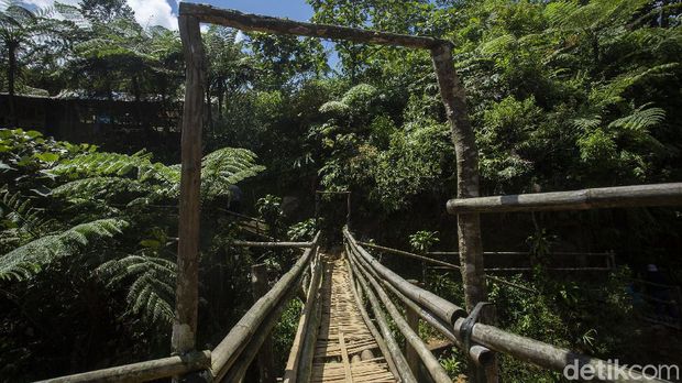 Curug Mariuk Surga Terpencil di Bogor