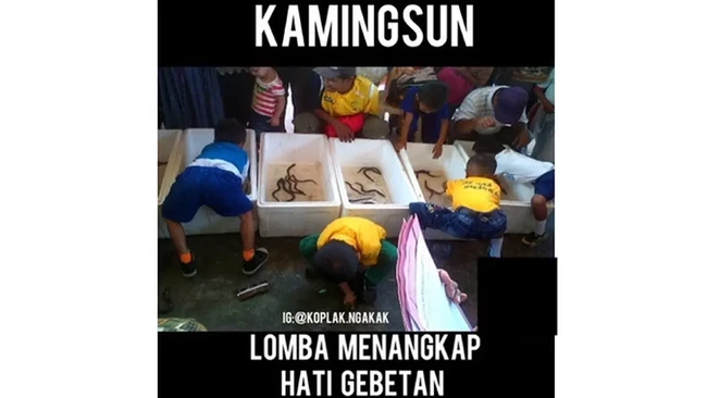 Saingan menangkap hati gebetan. Kalau juara selamat, kalau tidak ya cari gebetan baru saja ya mblo..Foto: Instagram