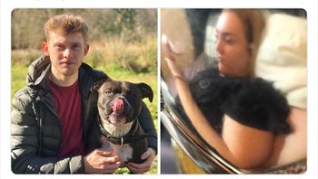 Foto: dok Bored Panda