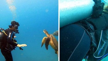 Pacarnya malas banget sih bergeser untuk angle foto yang lebih baik. Foto: dok Bored Panda