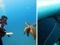 Kocak! Ini Perbandingan Foto yang Diambil Pacar Cowok dengan Cewek