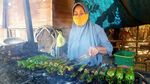 Gogos Kambu, Lontong Ketan Khas Polewali Mandar yang Gurih Pedas