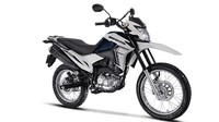 Soal tenaga, mesin itu bisa menghasilkan tenaga puncak 14,5 dk pada 8.500 rpm dan torsi maksimum 14,3 Nm di 5.500 Nm (versi bensin), serta tenaga puncak 14,7 dk pada 8.500 rpm dan torsi maksimum 15,6 Nm pada 5.500 rpm untuk versi bahan bakar etanol. Foto: Dok. Honda Brasil