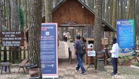 Hutan Pinus Mangunan telah mengantongi sertifikat CHSE (Cleanliness, Health, Safety, dan Environment Sustainability) dari Kemenparekraf. (Pradito Rida Pertana/detikTravel)