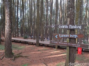 Kunjungan Wisatawan ke Bantul Turun Imbas PPKM Level 3