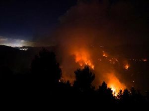 Kebakaran Besar di Hutan Yerusalem, Warga Berjibaku Padamkan Api Sendiri