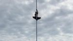 Sudah SMA! Ini Joni yang Pernah Viral Panjat Tiang Bendera 17 Agustus