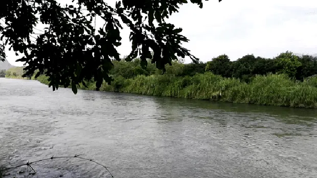 Menikmati Kelapa Muda Diantara Pesona Sungai Cimanuk dan Hutan Jati