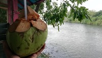 Traveler yang sering melintasi jalan raya Sumedang - Majelangka tentunya tidak asing lagi dengan sungai Cimanuk. Traveler bisa beristirahat menyeruput es kelapa muda di Warung Gedeng, Jalan Raya Tomo-Sumedang Km 29. (Nur Aziz/detikTravel)