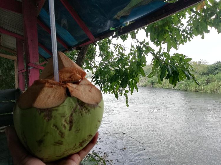 Santai Sejenak, Menikmati Es Kelapa Muda di Pinggir Sungai Cimanuk