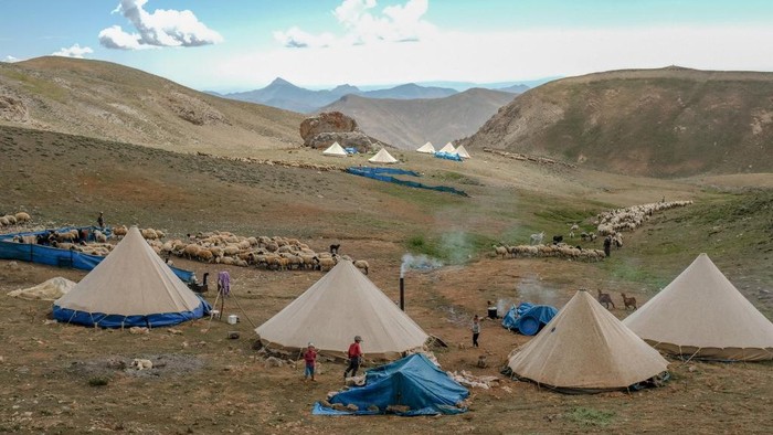 Penduduk Desa Savak, Pegunungan Dersim, Turki This photograph shows a high plateau where Savak villagers have settled their camp in the Dersim mountains, also known as Munzur mountains, on August 1, 2021, in Tunceli, at 3200 meters of height. - People from the Savak tribe of Anatolia are well known for their cheeses and milk products distributed in Turkey and all around the world. In spring they move to high mountains for fresh grass till the end of summer. It takes 15 days to walk back to their winter houses. (Photo by BULENT KILIC / AFP)