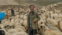 Susu dan yogurt dari Desa Savak di Pegunungan dersim itu didistribusikan ke seantero Turki. Keju savak menjadi salah satu keju terkenal dari Turki. (AFP/BULENT KILIC)