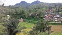 Nagari adalah pembagian wilayah administratif sesudah kecamatan di Provinsi Sumbar. Istilah nagari menggantikan istilah desa atau kelurahan, yang digunakan di provinsi lain di Indonesia. Dok.aieangekcity  